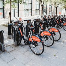 black-and-red-bikes-parked-under-trees-2045235